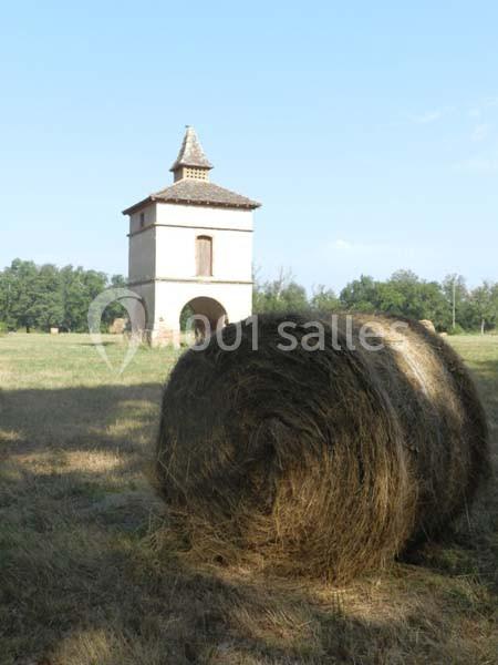 Manoir Des Barrayrous - galerie - photo 10