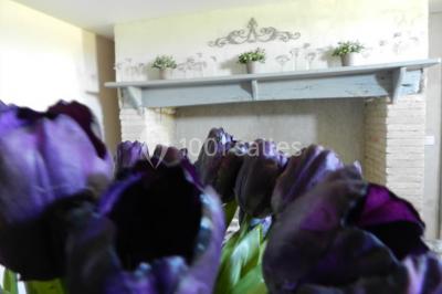 Manoir Des Barrayrous - photo 4