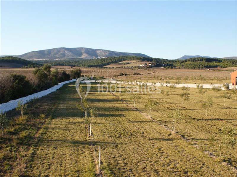 Domaine Cayrol - galerie - photo 16