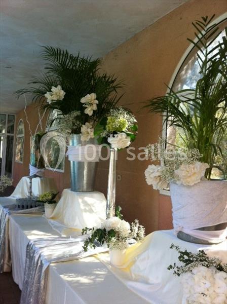 Location salle Plan-de-Cuques (Bouches-du-Rhône) - Hôtel Restaurant Le César #11