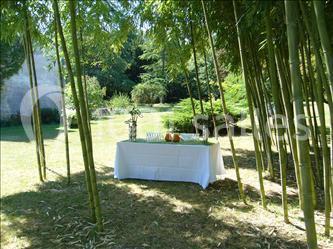 Location salle Magnac-sur-Touvre (Charente) - Château de Maumont #13