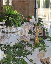 Location salle Magnac-sur-Touvre (Charente) - Château de Maumont #13