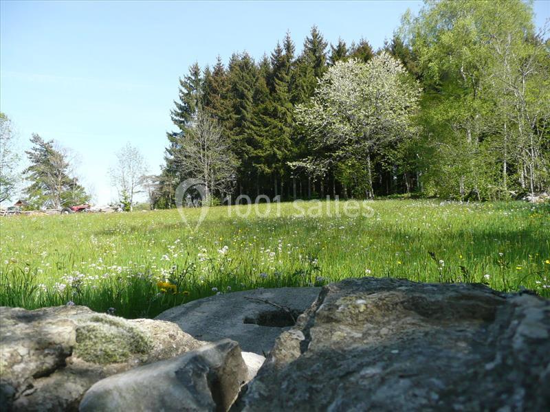 Location salle Yssingeaux (Haute-Loire) - Domaine Des Saveurs D'antan, La Pervenchère #17 Location salle Yssingeaux (Haute-Loire) - Domaine Des Saveurs D'antan, La Pervenchère #17