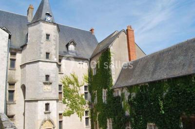 Château De Beaugency - photo 2