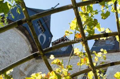 Château De Beaugency - photo 5