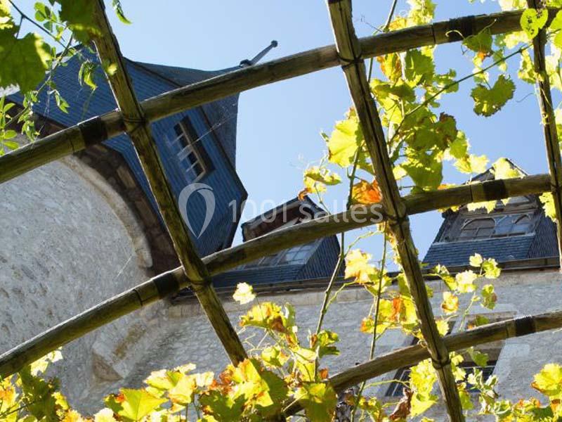 Château De Beaugency - galerie - photo 5