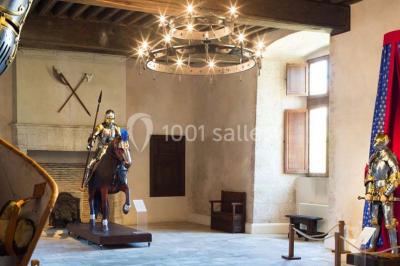Château De Beaugency - photo 1