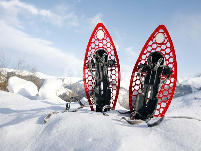 Sancy Resort - galerie - photo 18