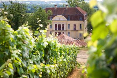Château Montus - photo 1