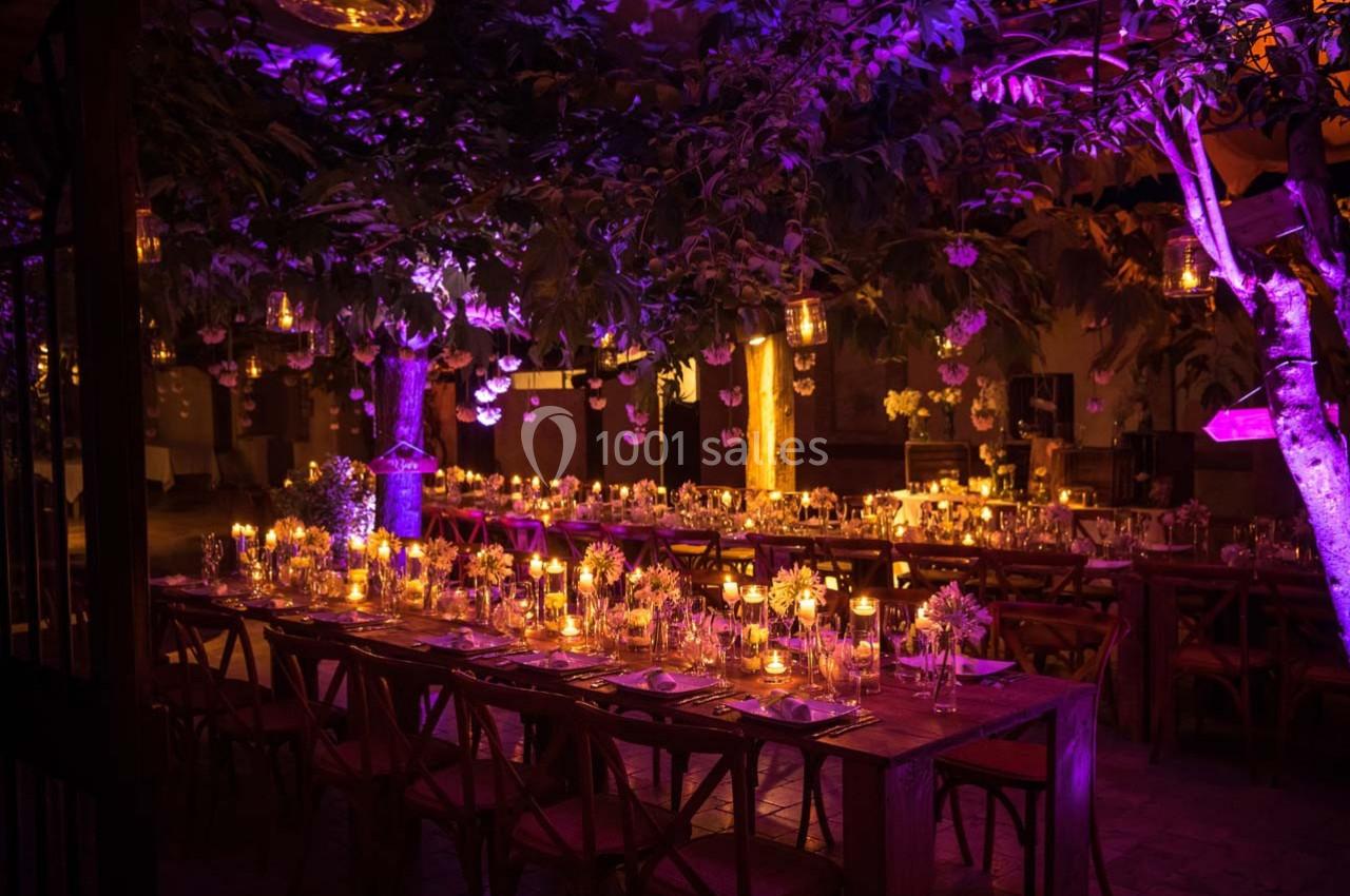 Location salle Gémenos (Bouches-du-Rhône) - Moulin de Gemenos #40 Tables décorées avec des fleurs et des bougies sous des arbres illuminés par des lumières violettes dans une ambiance…
