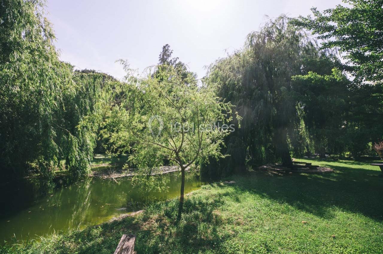 Location salle Gémenos (Bouches-du-Rhône) - Moulin de Gemenos #76 Un petit arbre au bord d'un étang entouré de verdure et de grands arbres sous un ciel clair.