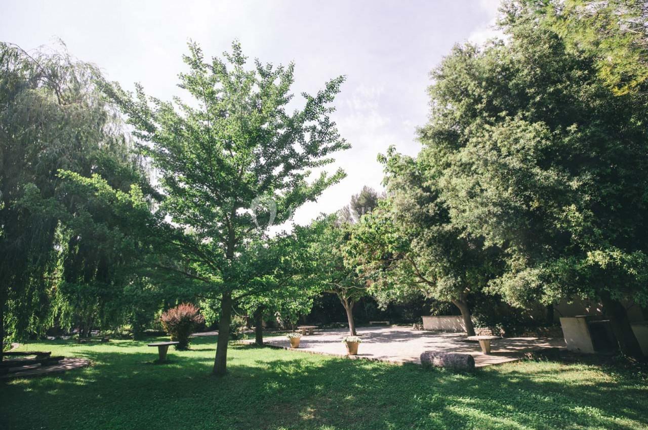 Location salle Gémenos (Bouches-du-Rhône) - Moulin de Gemenos #77 Un jardin arboré avec pelouse, arbres feuillus et quelques bancs sous une lumière naturelle.