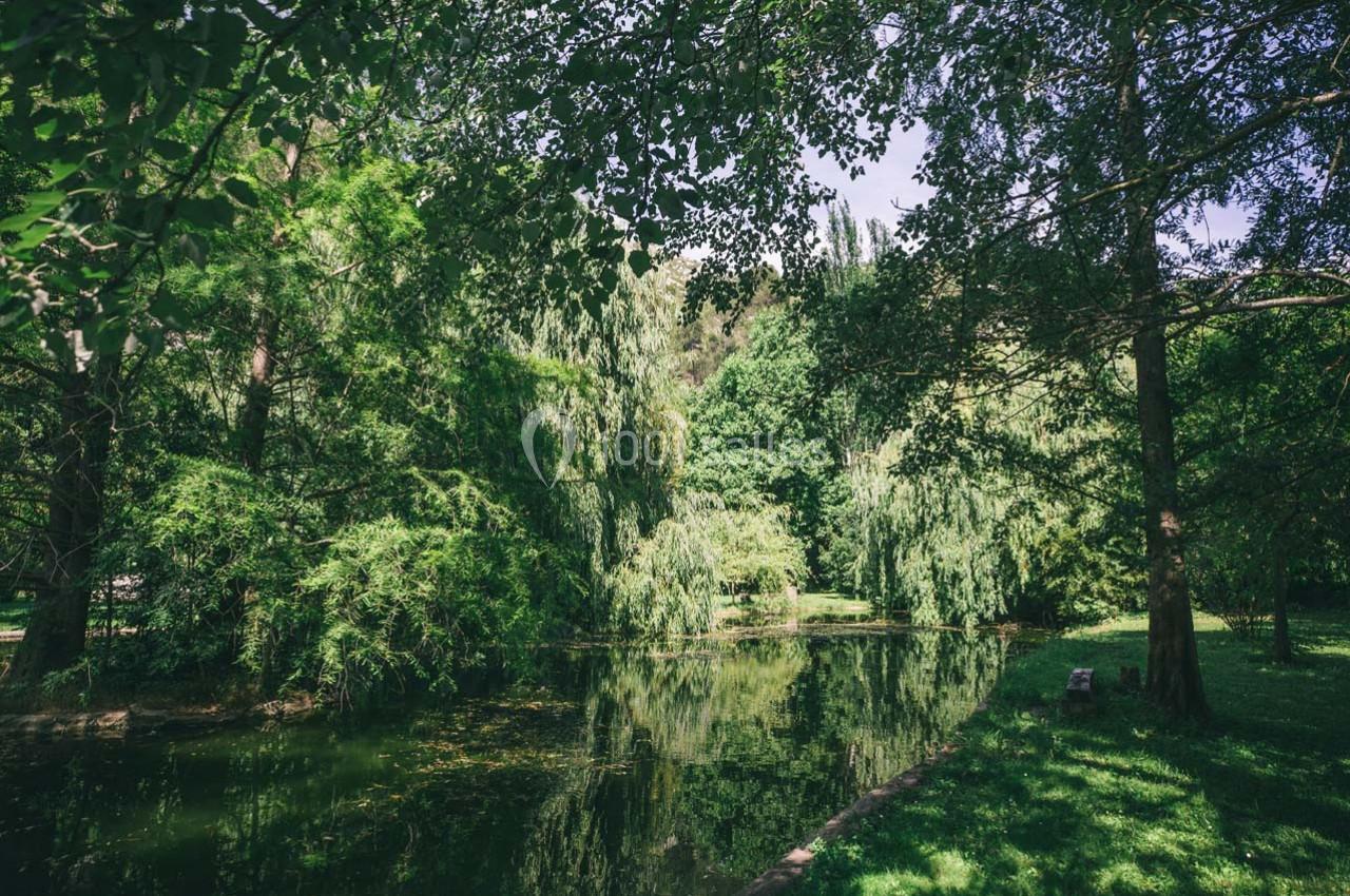Location salle Gémenos (Bouches-du-Rhône) - Moulin de Gemenos #80 Étang entouré d'arbres et de végétation dense, reflétant le paysage verdoyant sous un ciel dégagé.