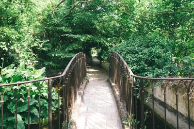 Miniature Location salle Gémenos (Bouches-du-Rhône) - Moulin de Gemenos #109 Salle de réception avec tables rondes dressées, nappes blanches, chaises en bois et décoration florale.