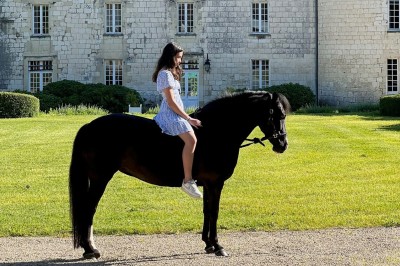 Château de Marçay  - photo 5