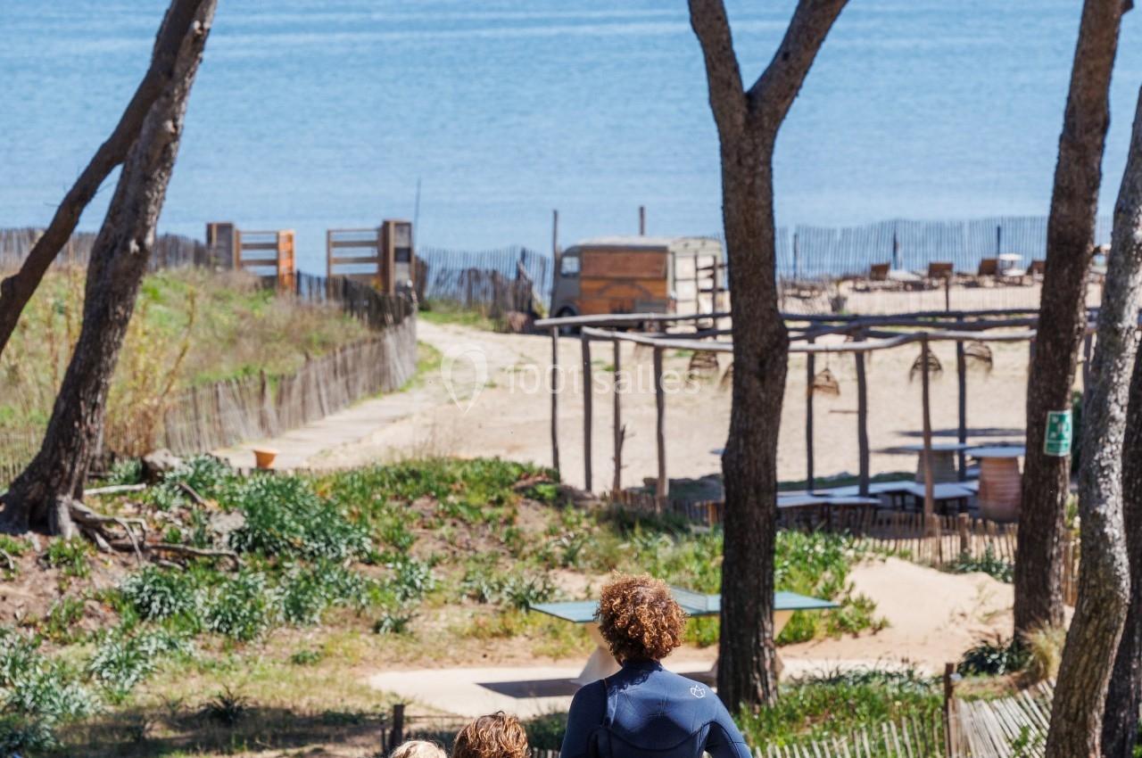 Trois personnes en combinaison néoprène portant des planches de surf descendent vers une plage bordée de pins.