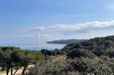 Table dressée avec assiettes en céramique, serviettes vertes pliées, couverts dorés, verres et décoration florale blanche.