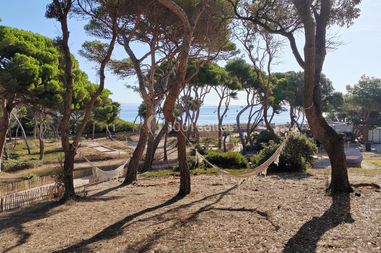 Deux hamacs suspendus entre des pins, avec vue sur une plage et la mer en arrière-plan sous un ciel dégagé.