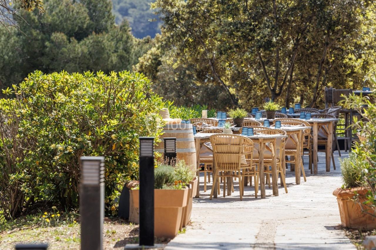 Chemin pavé menant à une terrasse extérieure avec des tables en bois, entourée de végétation et d'arbres.