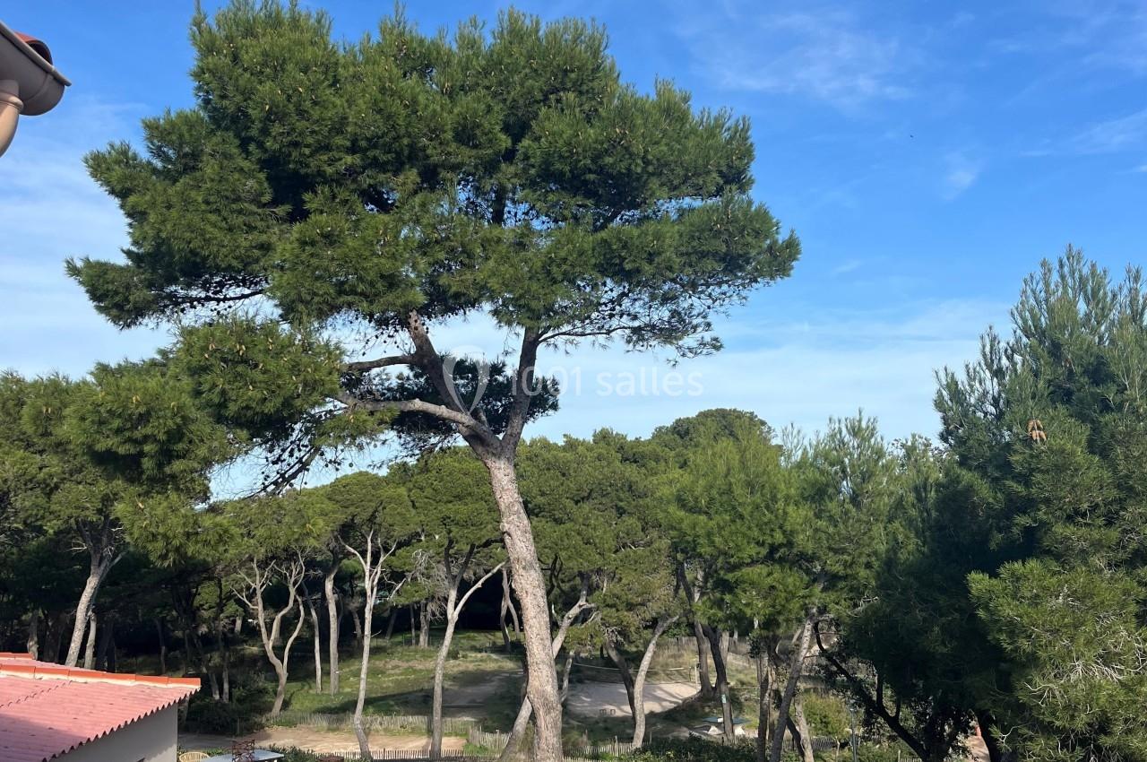 Terrasse en pierre avec des tables et chaises en bois, entourée de pins sous un ciel bleu clair.