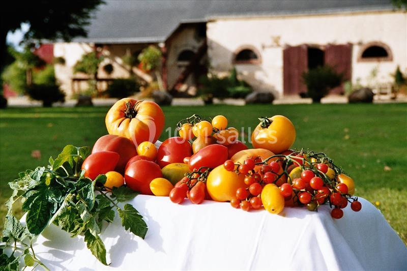 Domaine De La Bergerie - galerie - photo 12