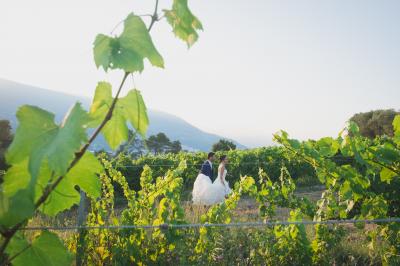 Miniature Location salle Nice (Alpes-Maritimes) - Château De Bellet #7 Location salle Nice (Alpes-Maritimes) - Château De Bellet #22
