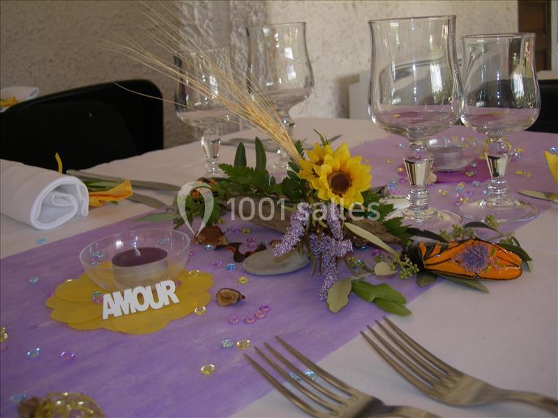 Location salle Salon-de-Provence (Bouches-du-Rhône) - Domaine De Roquerousse #11