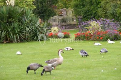 Miniature Location salle Mesnières-en-Bray (Seine-Maritime) - Château De Mesnières En Bray #16 Location salle Mesnières-en-Bray (Seine-Maritime) - Château De Mesnières En Bray #19