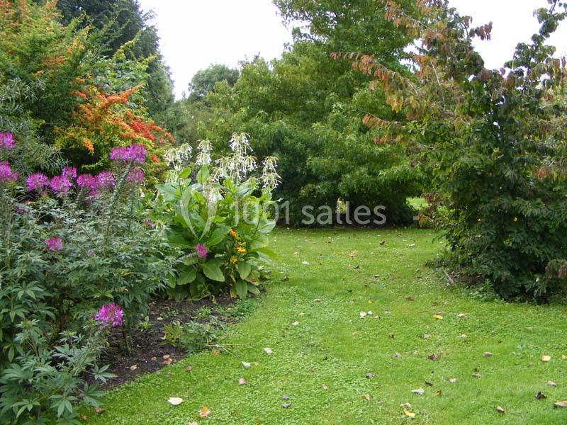 Location salle Mesnières-en-Bray (Seine-Maritime) - Château De Mesnières En Bray #17 Location salle Mesnières-en-Bray (Seine-Maritime) - Château De Mesnières En Bray #17