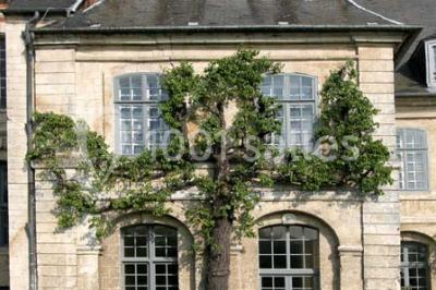 Abbaye De Valloires - photo 3