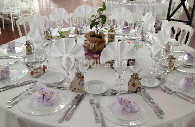 Location salle Aucamville (Tarn-et-Garonne) - Château De Nolet #14