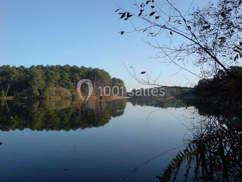 Les Villages Sous les Pins - galerie - photo 2