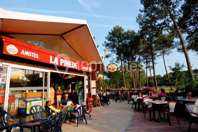 Les Villages Sous les Pins - galerie - photo 10