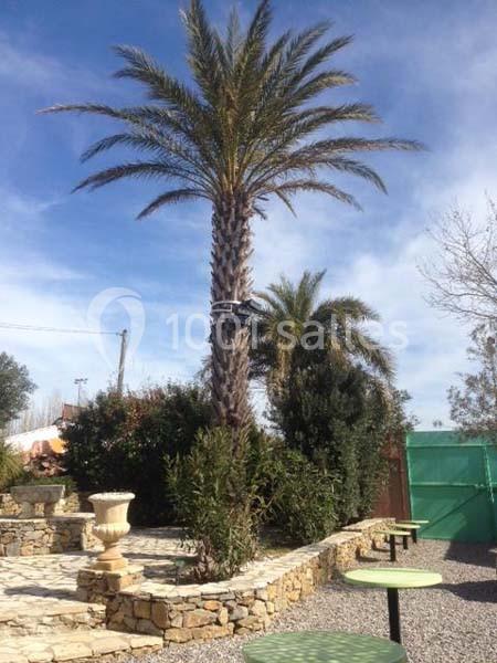 Le Jardin Du Mas - galerie - photo 11