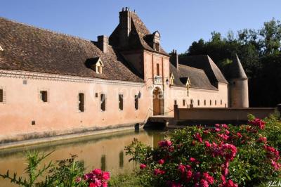Château de Chevillon - photo 2