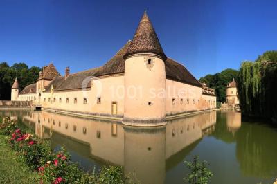 Château de Chevillon - photo 1