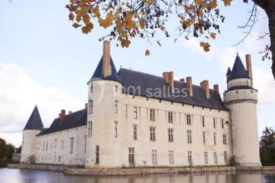 Château Du Plessis Bourre - photo 4