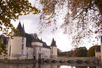 Château Du Plessis Bourre - photo 4