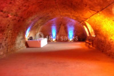 Château Du Plessis Bourre - photo 1
