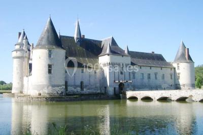 Château Du Plessis Bourre - photo 2