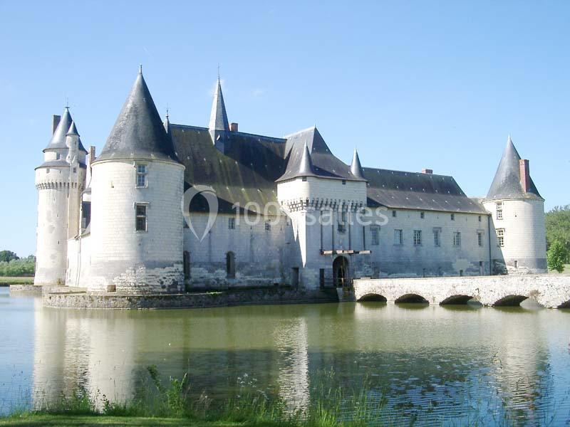Château Du Plessis Bourre - galerie - photo 8