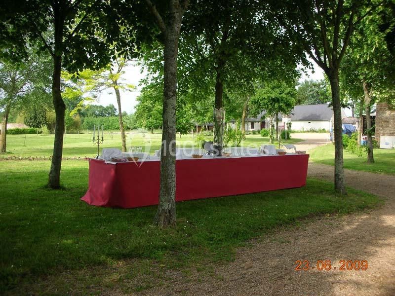 Château Du Plessis Bourre - galerie - photo 11