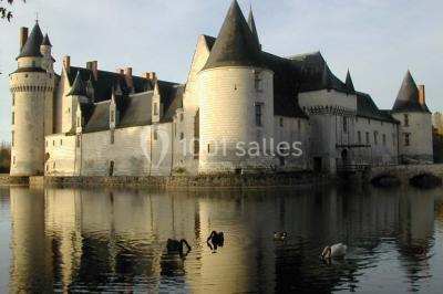 Château Du Plessis Bourre - photo 3