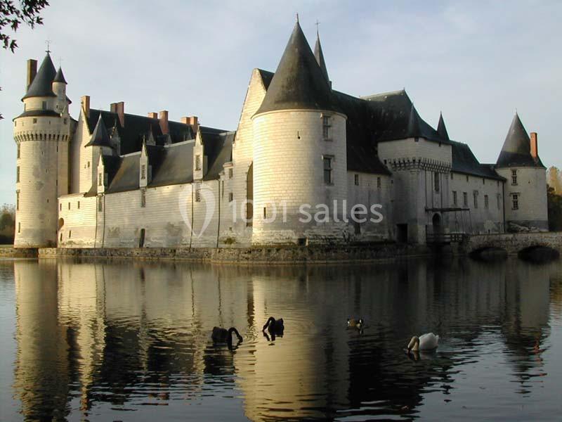 Château Du Plessis Bourre - galerie - photo 15