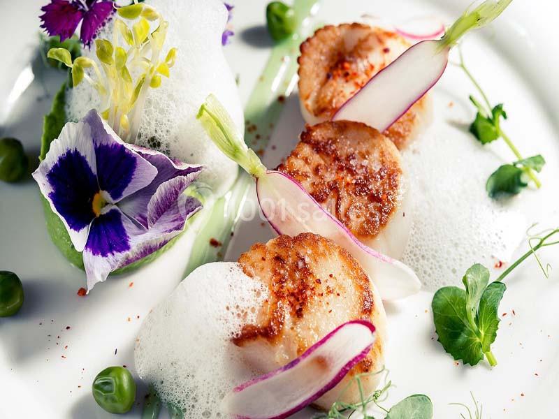 Noix de Saint-Jacques poêlées avec mousse légère, radis, fleurs comestibles et purée verte sur une assiette blanche.