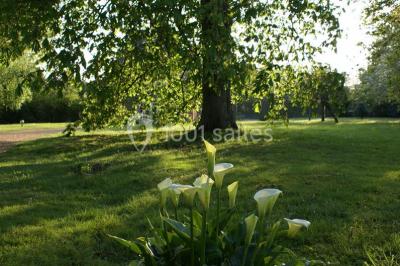 Domaine De La Vallée - photo 2
