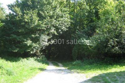Espace Pressinois - photo 2