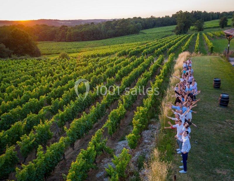 Groupe de personnes alignées au bord d'un vignoble verdoyant au coucher du soleil.