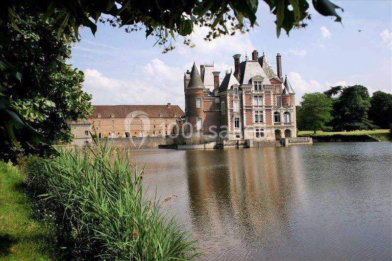Château entouré d'un étang, avec des arbres et des herbes au premier plan sous un ciel dégagé.