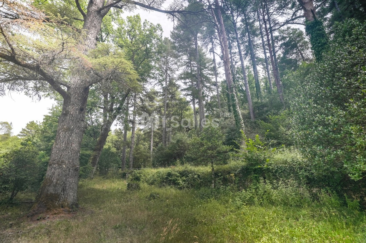 Montrieux Le Hameau - galerie - photo 12